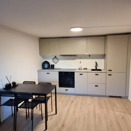 Near City, 7 Min From The Airport, Free Parking Apartment Bergen